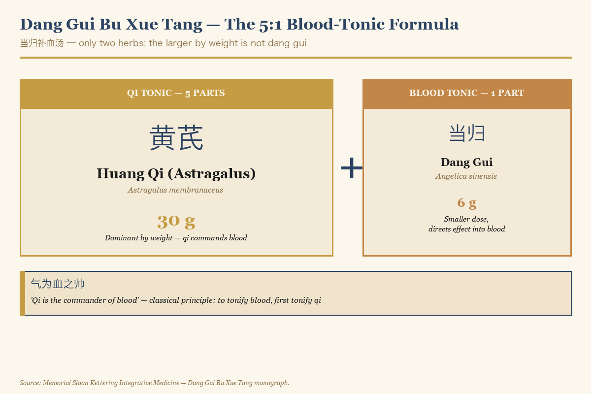 Dang Gui Bu Xue Tang classical formula composition — Astragalus and Angelica sinensis at the traditional 5:1 ratio