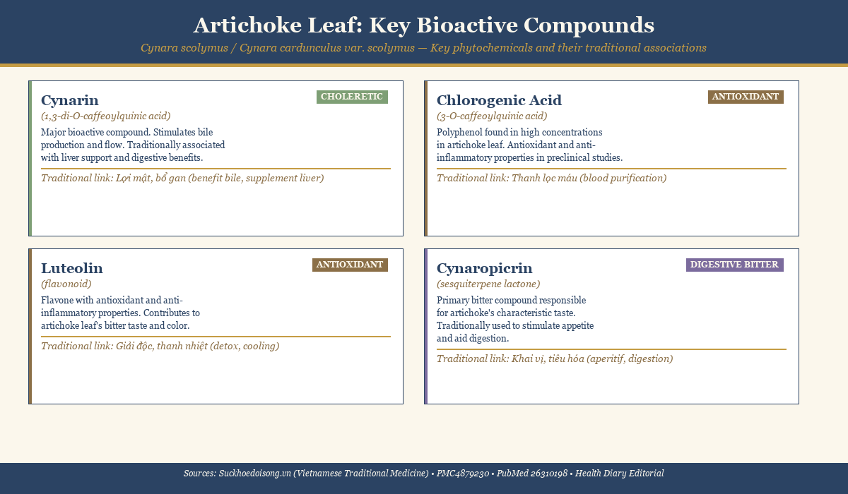 Diagram of artichoke leaf key bioactive compounds: cynarin, chlorogenic acid, luteolin, and cynaropicrin with traditional associations
