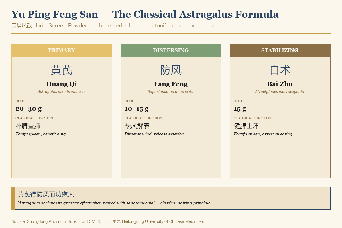 Yu Ping Feng San classical formula composition — astragalus, saposhnikovia, atractylodes — with traditional functions