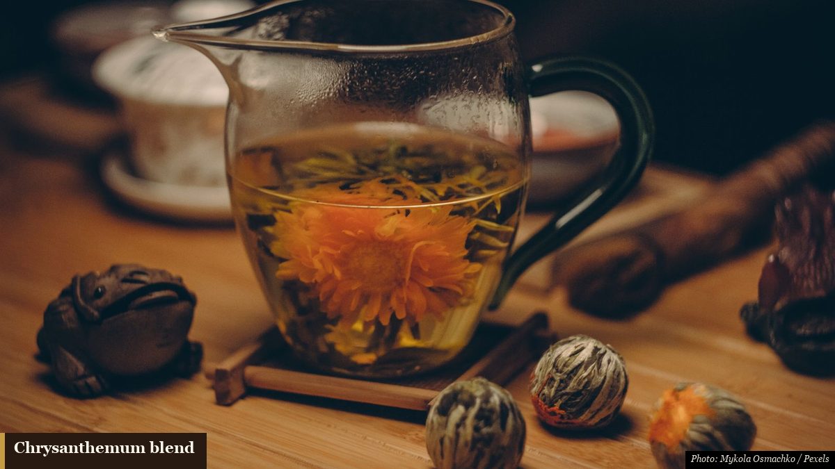 Blooming chrysanthemum tea in a clear glass pitcher with a cinnamon stick