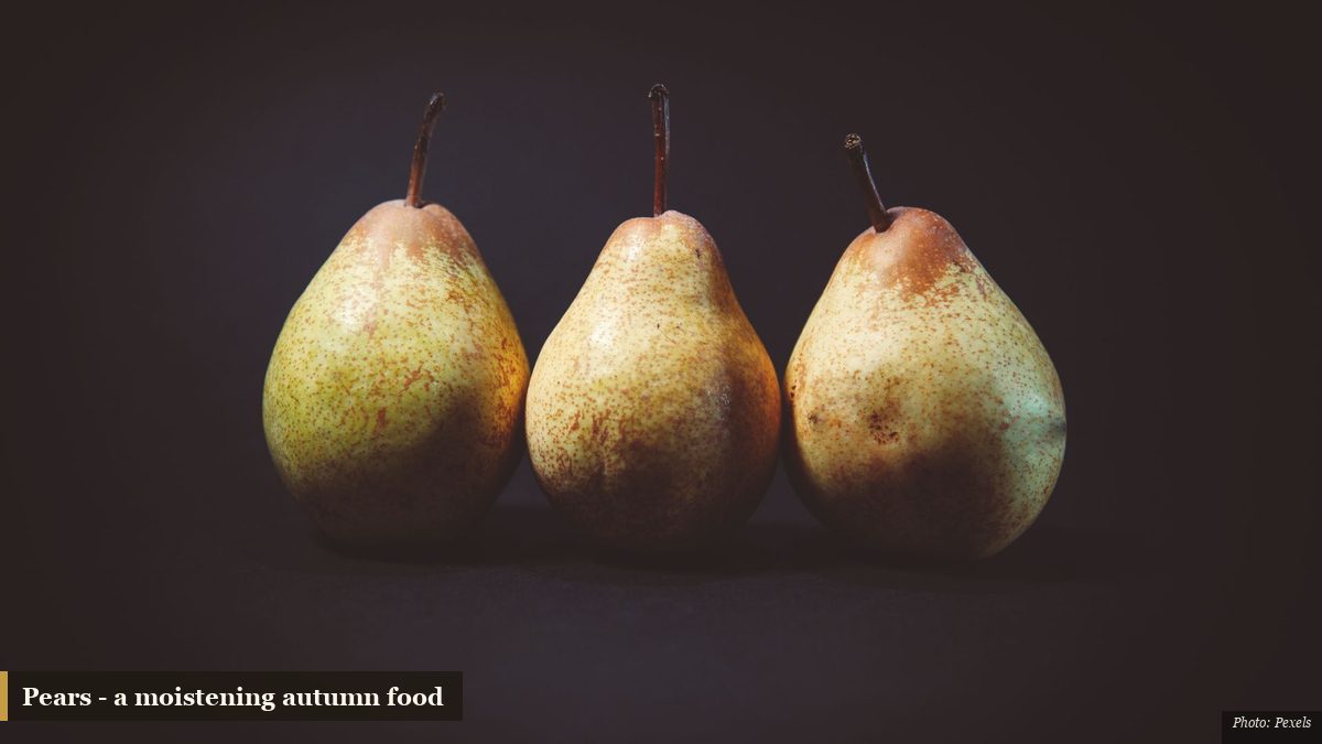 Three ripe pears on a dark background, a traditional moistening autumn food