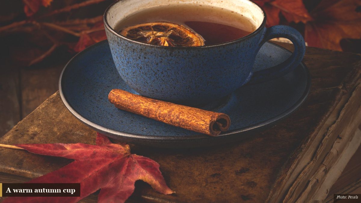 A warm cup of autumn tea with cinnamon beside red maple leaves on old books