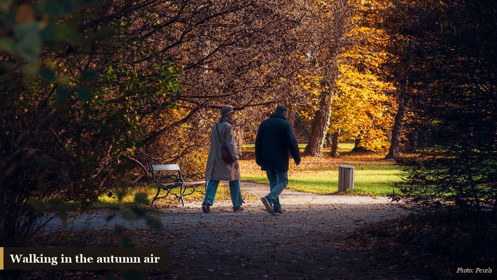 Two people taking an unhurried walk along a tree-lined path in autumn
