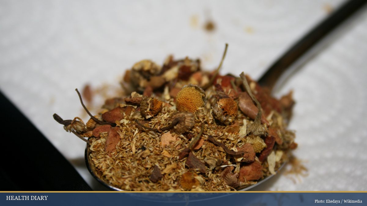 Dried sour jujube seeds and crushed botanical mix on a spoon ready for brewing