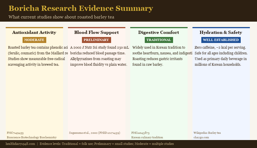 Boricha research evidence summary infographic showing antioxidant, blood flow, digestive, and safety ratings