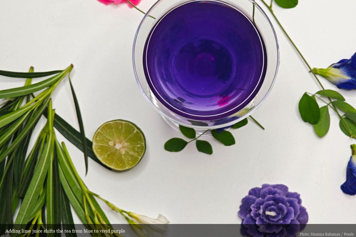 Overhead view of butterfly pea tea turning purple after lime juice is added, showing the color-change reaction