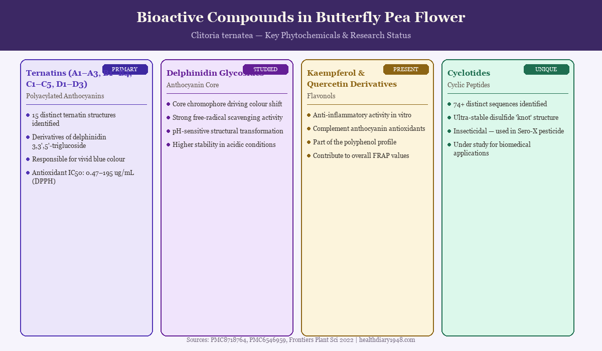 Illustrated chart of bioactive compounds in butterfly pea flower including ternatins, delphinidin, kaempferol, and cyclotides