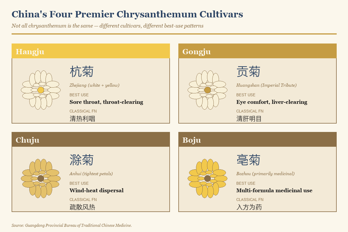 The four premier Chinese chrysanthemum cultivars — Hangju, Gongju, Chuju, and Bozhou — and their best-use patterns