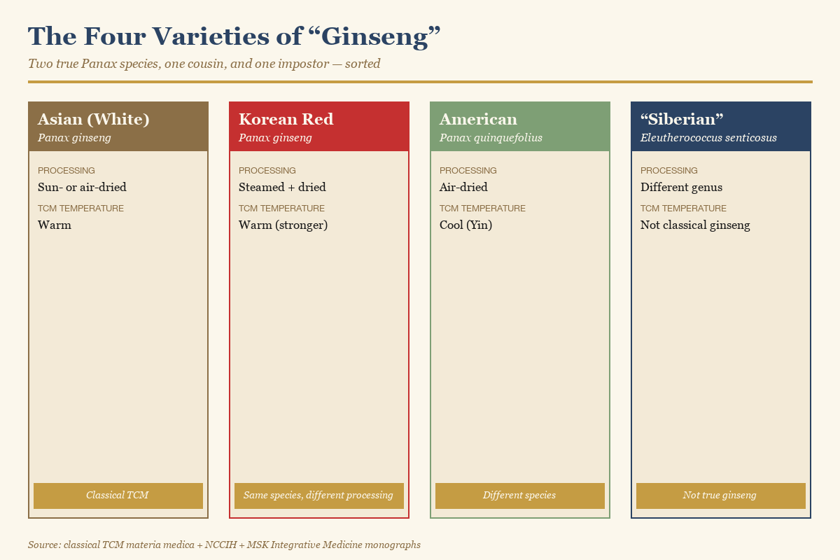 Comparison diagram showing the four ginseng varieties and their traditional TCM classification