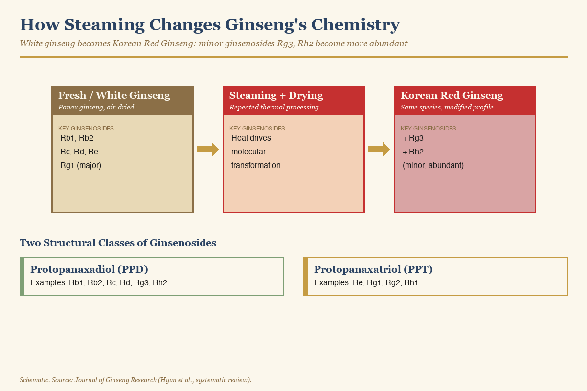Schematic of ginsenoside compound classes PPD and PPT and how steaming alters their profile