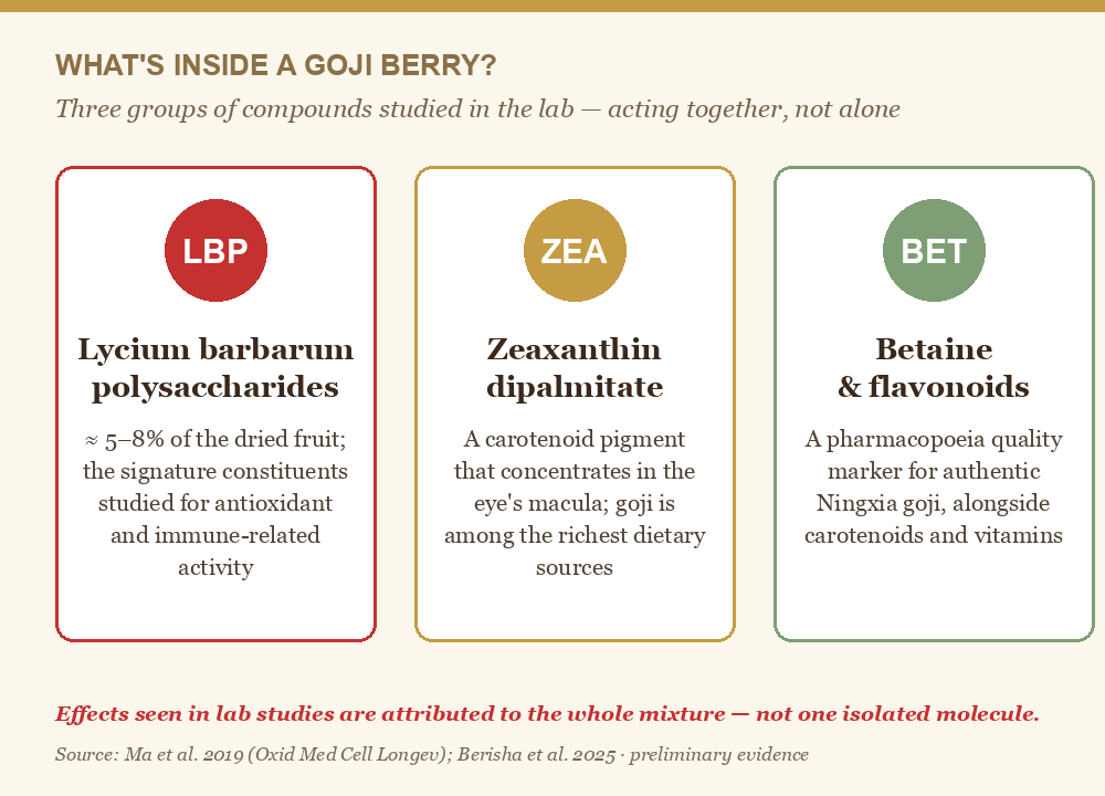 Diagram of the main goji berry compounds LBP polysaccharides zeaxanthin dipalmitate and betaine
