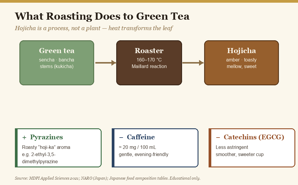 Diagram showing how roasting green tea forms pyrazines and reduces caffeine and catechins in hojicha