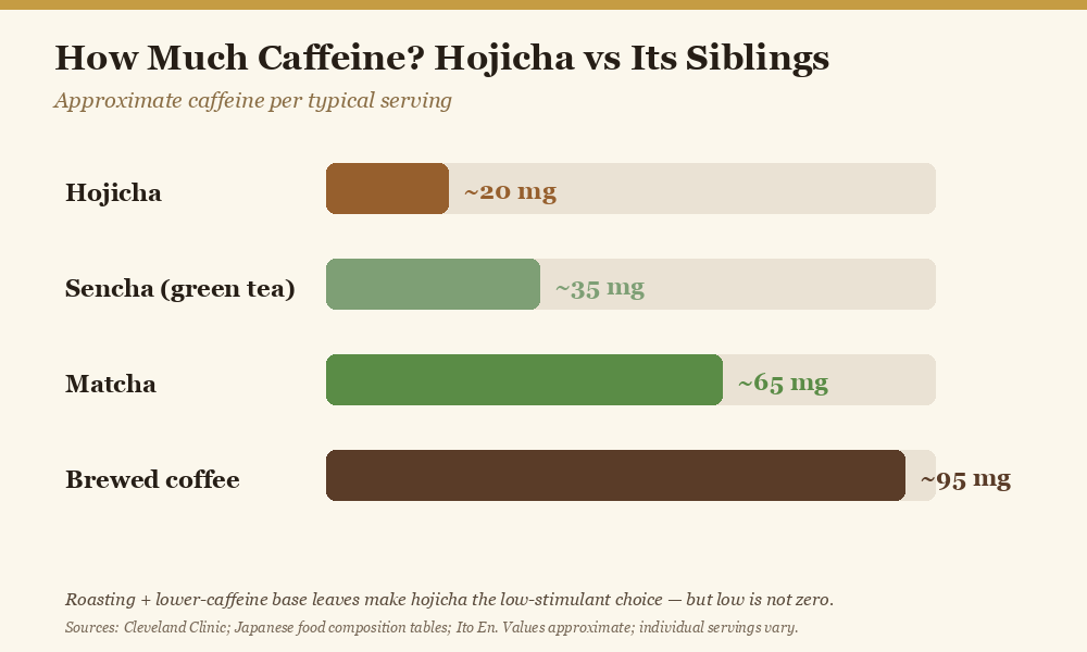 Bar chart comparing caffeine levels in hojicha, sencha, matcha, and coffee per serving