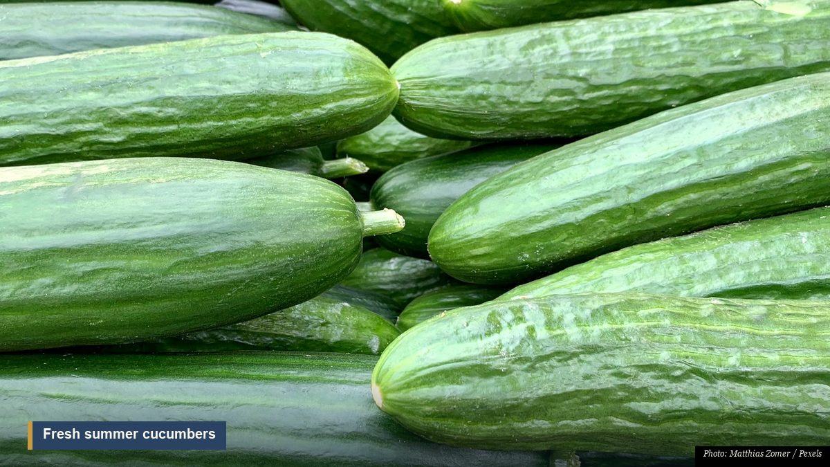Fresh cucumbers and green summer vegetables considered cooling foods