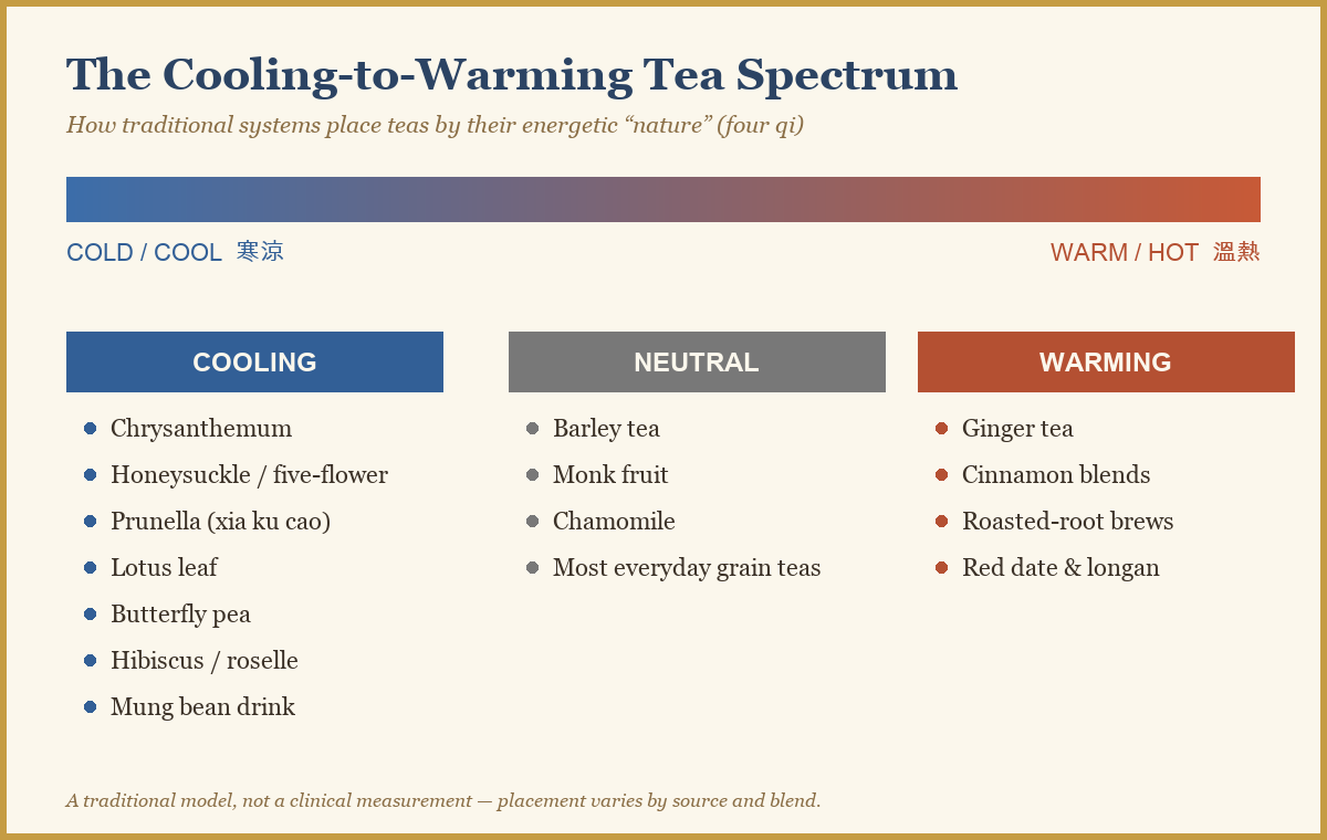 Diagram showing herbal teas arranged on a cooling to warming spectrum by traditional nature