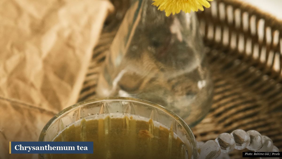 Glass cup of golden chrysanthemum flower tea with dried blossoms, a classic cooling herbal tea