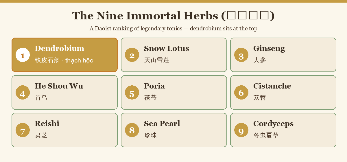 Diagram of the nine immortal herbs with dendrobium ranked first