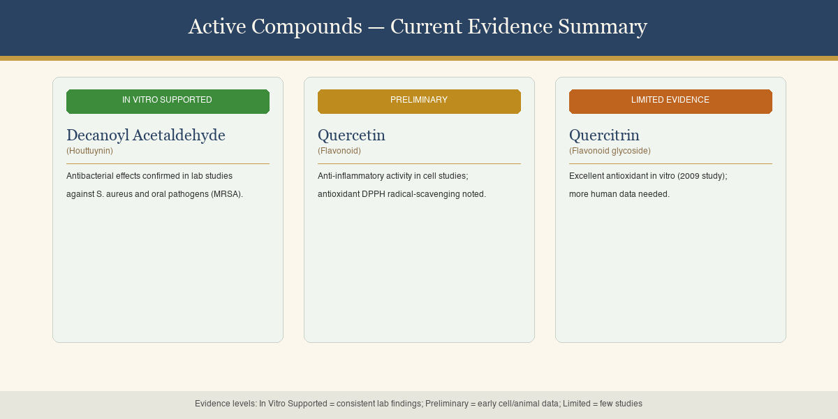 Evidence summary chart for fish mint compounds — houttuynin, quercetin, and quercitrin research status badges