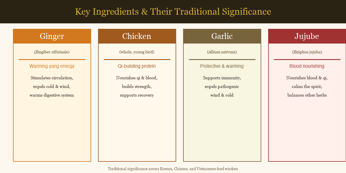 Illustrated chart of key ingredients in Asian ginger chicken soup traditions — ginger, chicken, garlic, jujube