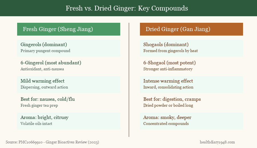 Comparison chart of fresh ginger versus dried ginger bioactive compounds including gingerols and shogaols
