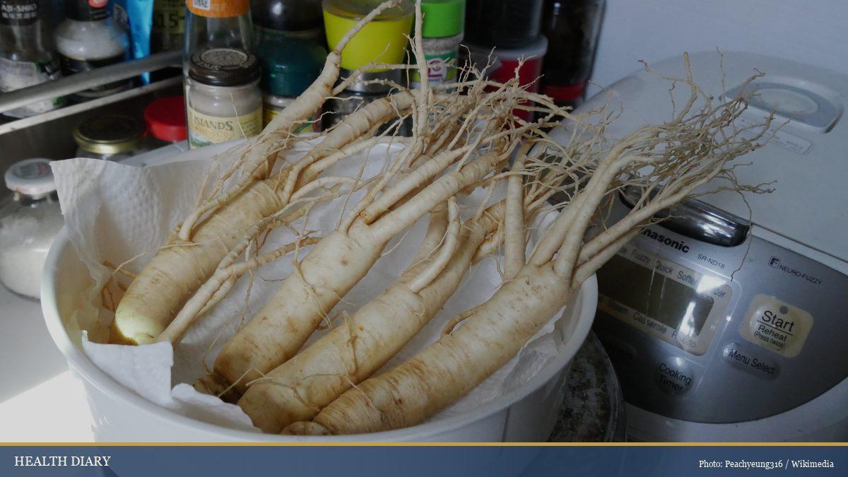 Whole fresh Panax ginseng roots resting on paper in a kitchen, ready for slicing and brewing