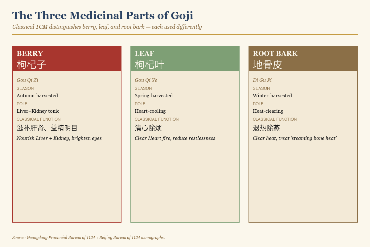 Three medicinal parts of the goji plant — berry, leaf, and root bark — with their classical TCM functions