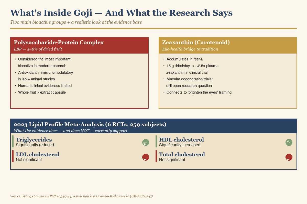 Schematic of goji's main bioactive compounds — LBP polysaccharide and zeaxanthin — and current research caveats