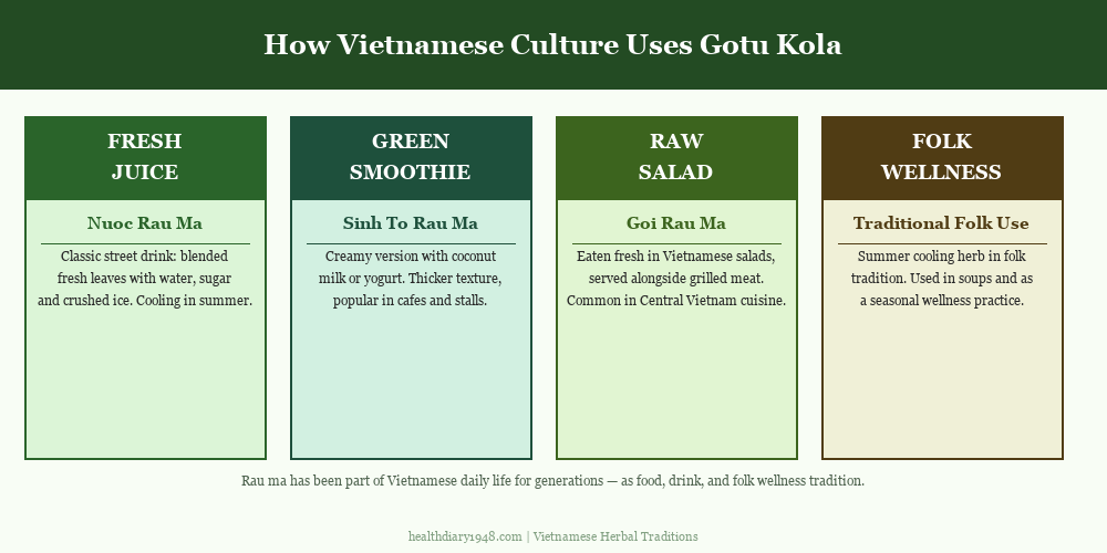 Infographic showing four ways Vietnamese culture uses gotu kola: fresh juice, green smoothie, raw salad herb, and folk wellness tradition