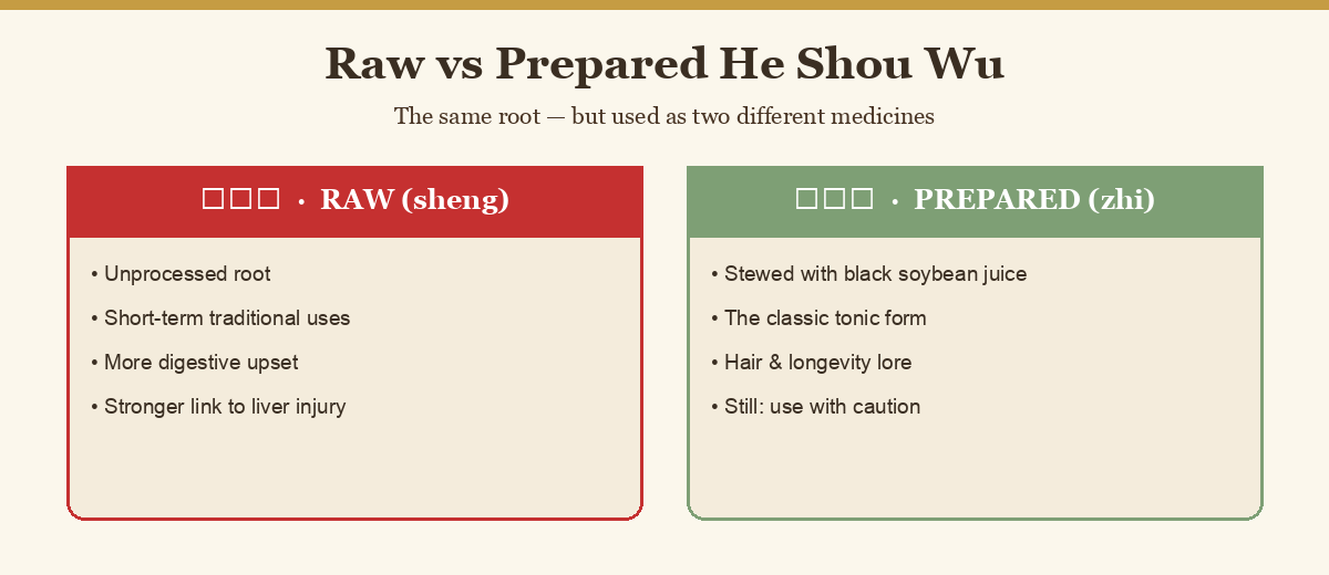 Diagram comparing raw sheng shou wu and prepared zhi shou wu he shou wu