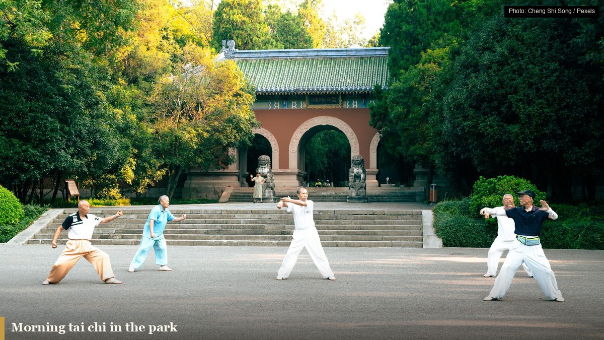 Group of older adults practicing tai chi together outdoors in a park at morning