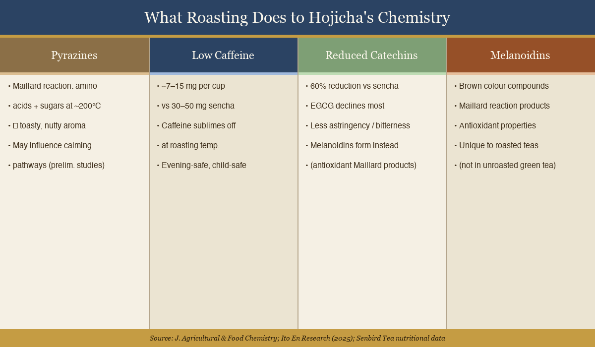 Four-panel diagram showing the chemistry of hojicha roasting: pyrazines, low caffeine, reduced catechins, and melanoidins