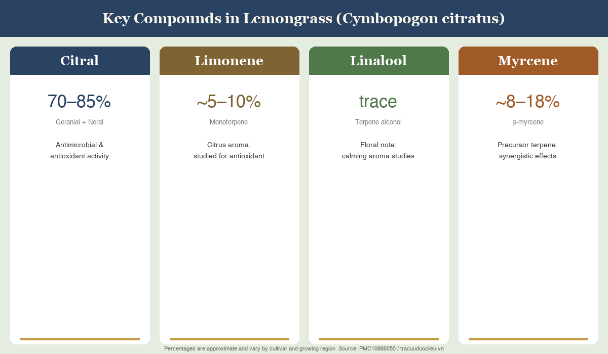 Diagram showing key compounds in lemongrass essential oil including citral, limonene, linalool, and myrcene with percentages