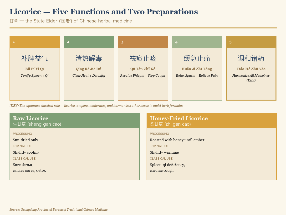 The five traditional functions of licorice — tonify qi, clear heat, resolve phlegm, relieve pain, and harmonize all medicines