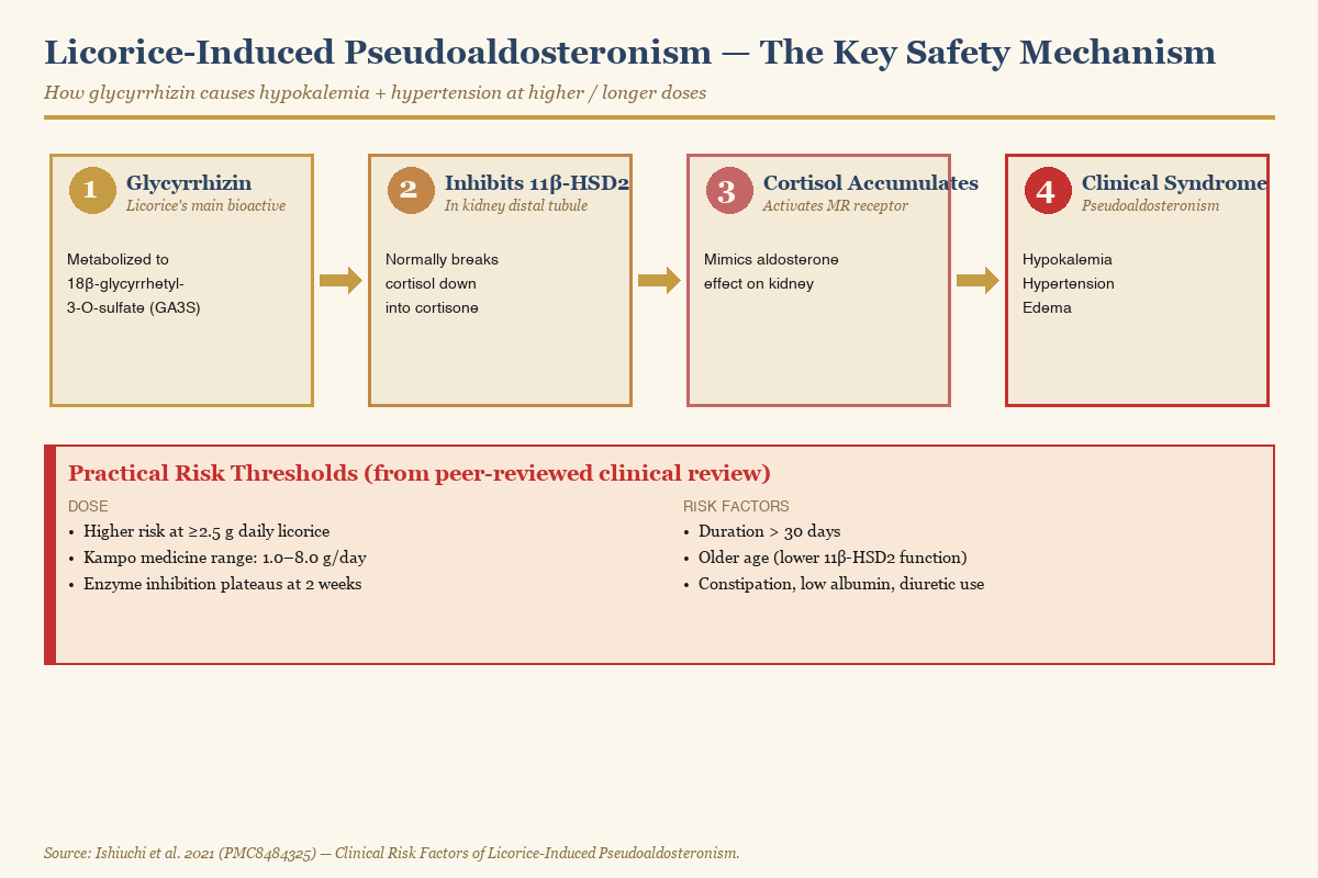 The pseudoaldosteronism mechanism — glycyrrhizin inhibits 11-beta-HSD2 enzyme, allowing cortisol to activate mineralocorticoid receptors, causing hypokalemia, hypertension, and edema
