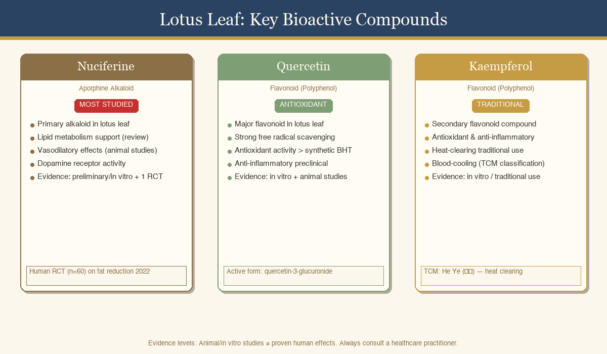 Lotus leaf key bioactive compounds diagram showing nuciferine, quercetin, and kaempferol with evidence levels