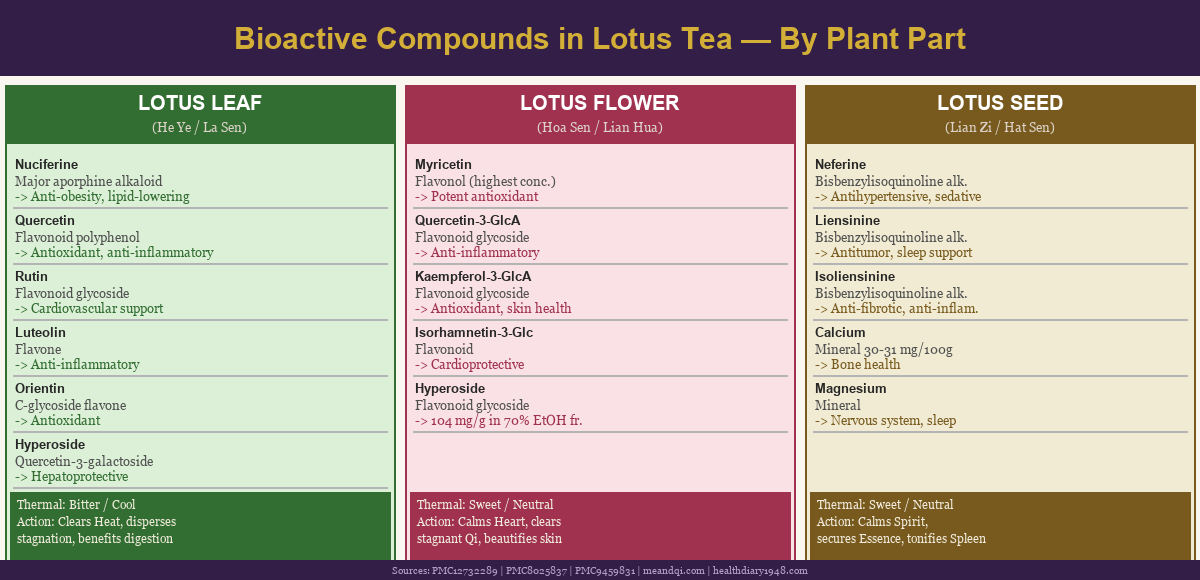 Bioactive compounds in lotus tea by plant part — nuciferine, myricetin, quercetin, neferine