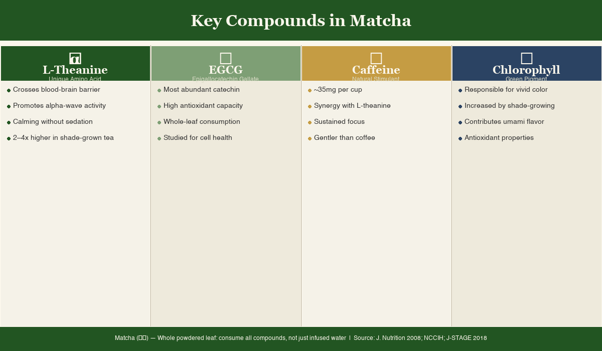 Four-panel diagram showing key matcha compounds: L-Theanine, EGCG, Caffeine, and Chlorophyll with properties