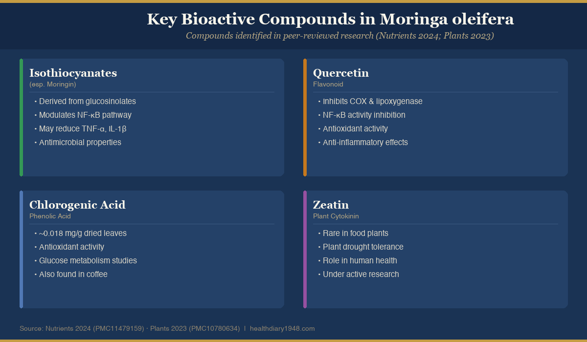Diagram showing four key bioactive compounds in Moringa oleifera: isothiocyanates, quercetin, chlorogenic acid, and zeatin