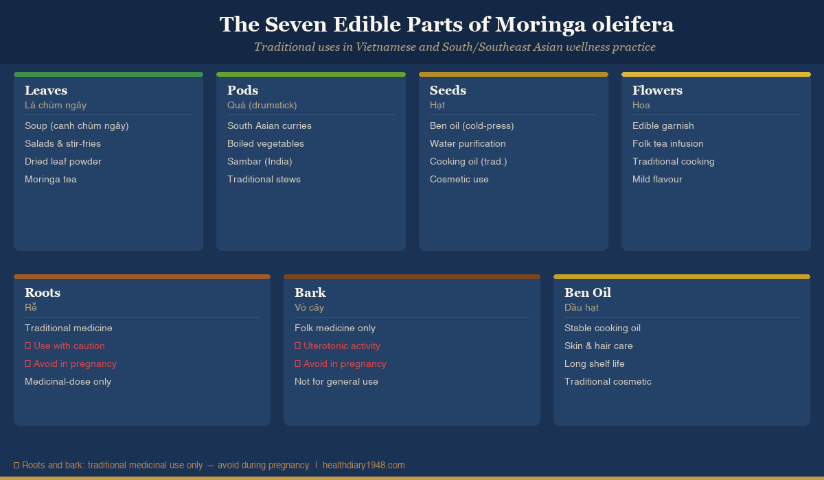 Illustration of the seven edible parts of the Moringa oleifera tree: leaves, pods, seeds, flowers, roots, bark, and oil