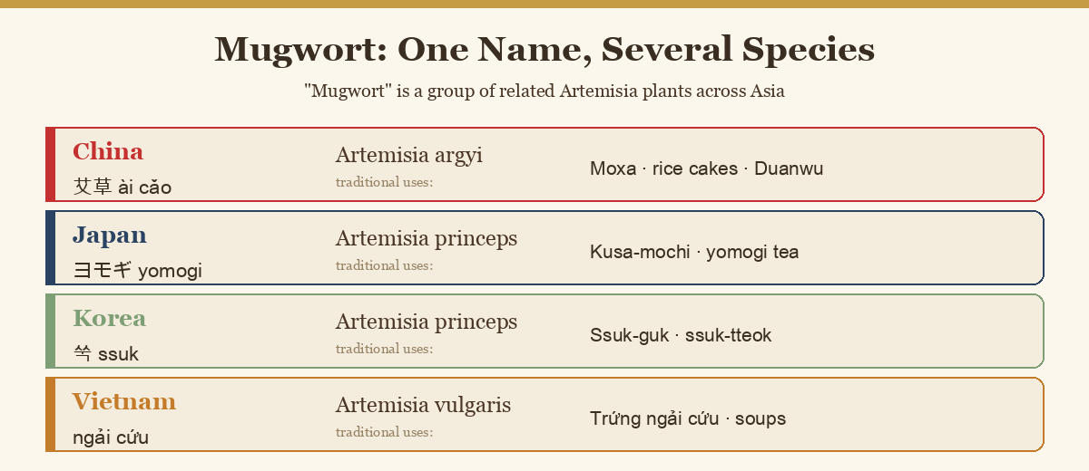 Diagram mapping mugwort species across China, Japan, Korea and Vietnam