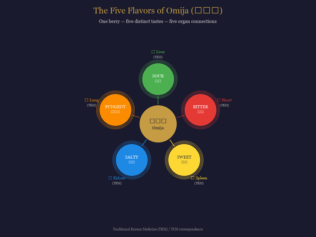 Diagram showing the five flavors of omija berry mapped to their traditional Korean medicine organ connections: Sour to Liver, Bitter to Heart, Sweet to Spleen, Salty to Kidney, Pungent to Lung