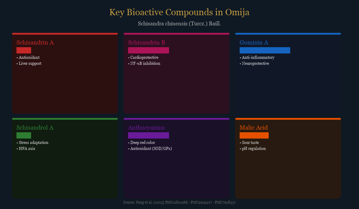 Bioactive compounds card showing six key compounds in Schisandra chinensis: Schisandrin A, Schisandrin B, Gomisin A, Schisandrol A, Anthocyanins, and Malic Acid