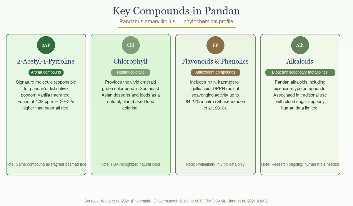 Four-panel diagram showing key compounds in pandan: 2-acetyl-1-pyrroline aroma compound, chlorophyll natural colorant, flavonoids and phenolics with antioxidant role, and pandan alkaloids