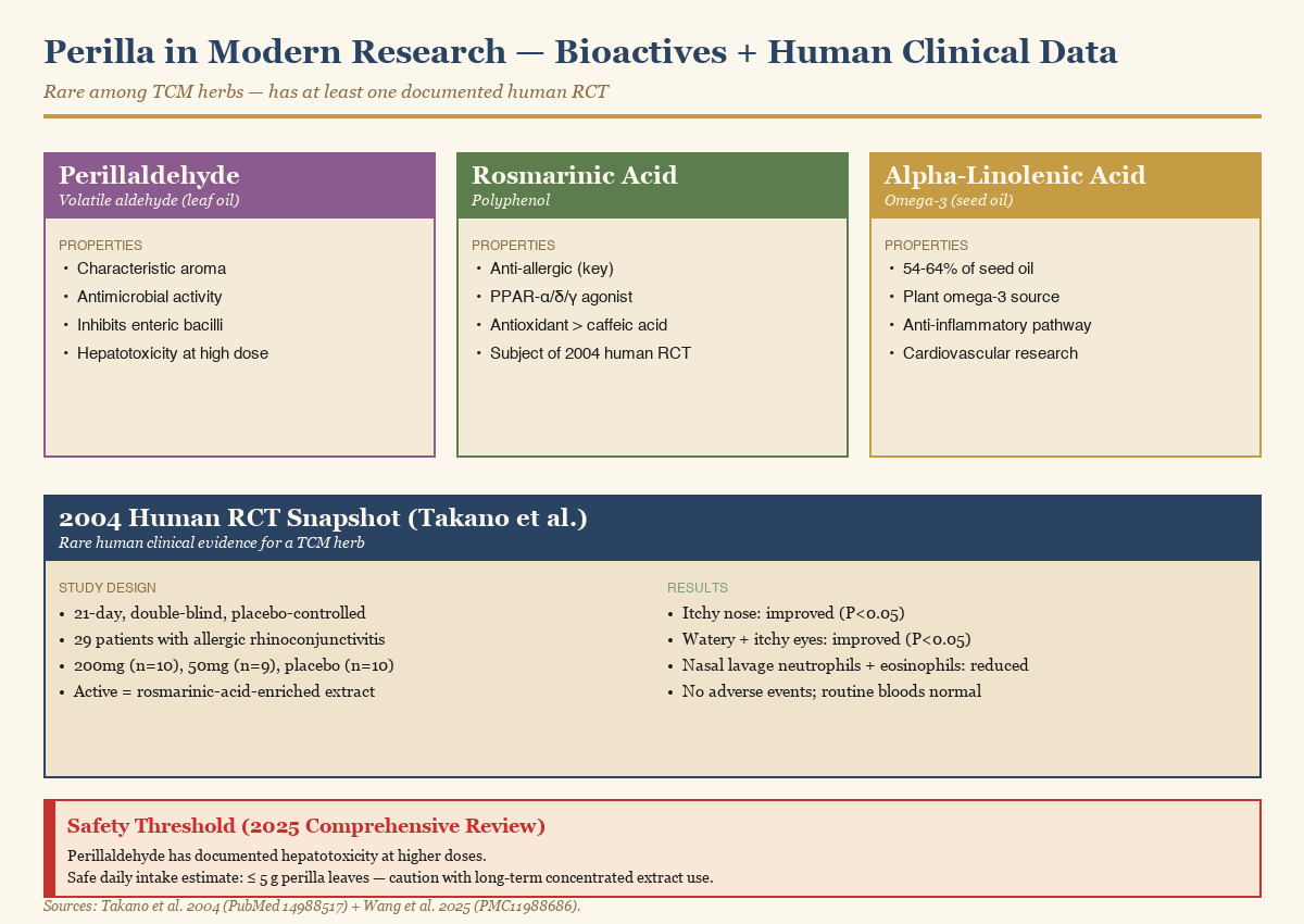 Three main bioactive compounds in perilla — perillaldehyde, rosmarinic acid, and alpha-linolenic acid — with proposed mechanism pathways and key human RCT result