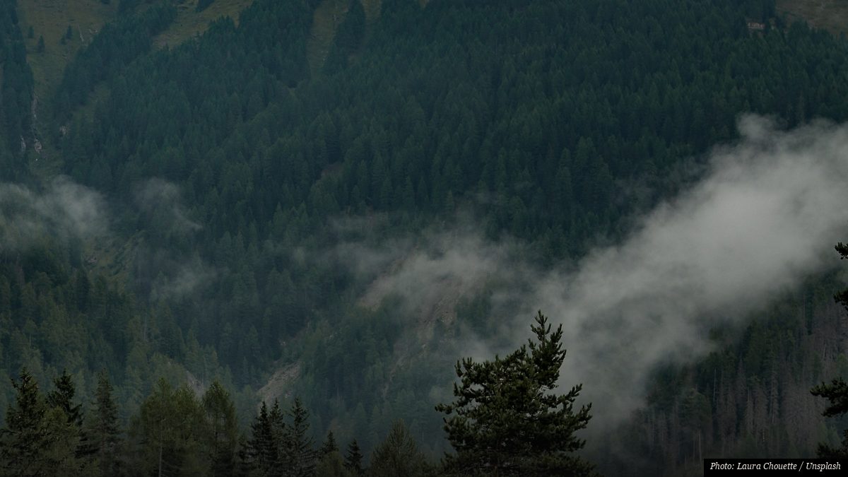 Mist drifting through forested mountain peaks in East Asia