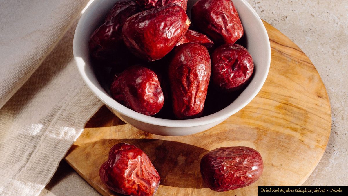 Dried Chinese red jujube fruits in a white bowl on a wooden cutting board, natural daylight
