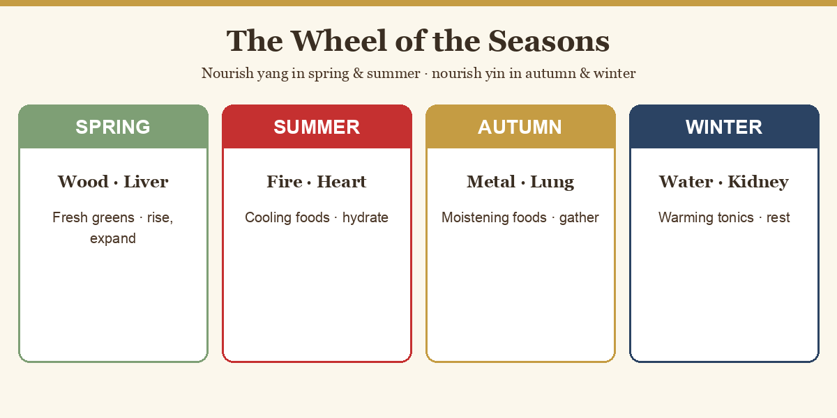 Diagram of the four seasons paired with elements and the yin-yang balance across the year