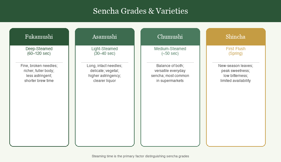 Comparison chart of sencha grades showing Fukamushi deep-steamed, Asamushi light-steamed, Chumushi medium-steamed, and Shincha first flush varieties