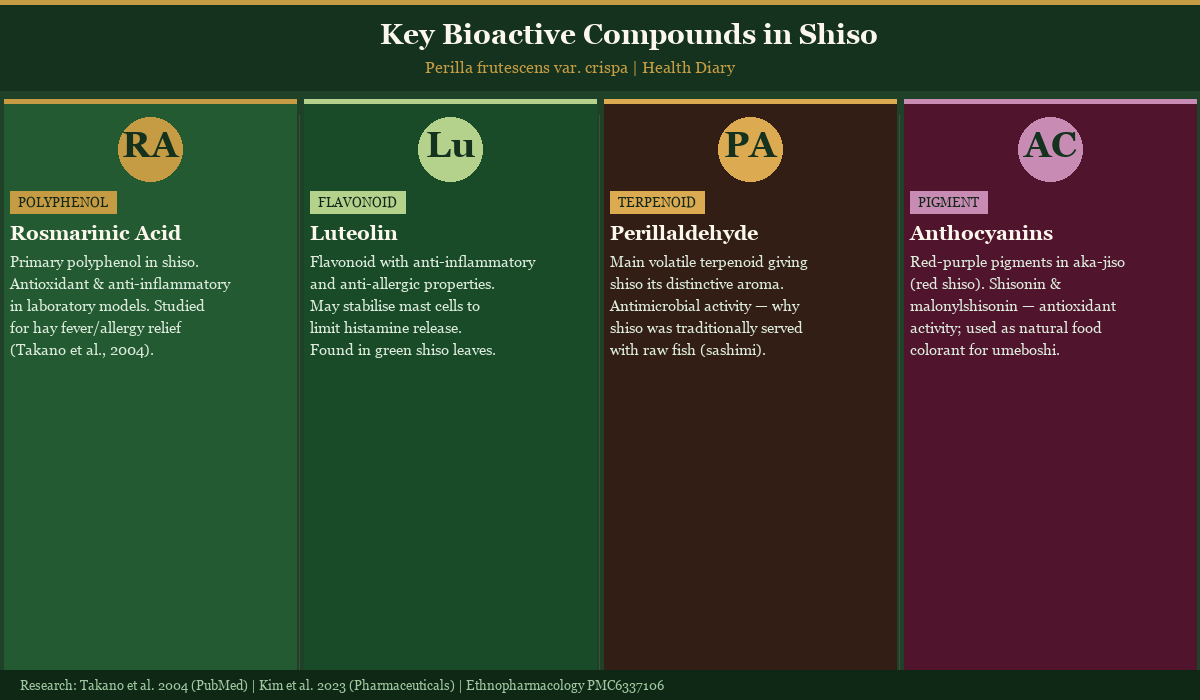 Four-panel diagram of key bioactive compounds in shiso: rosmarinic acid, luteolin, perillaldehyde, and anthocyanins