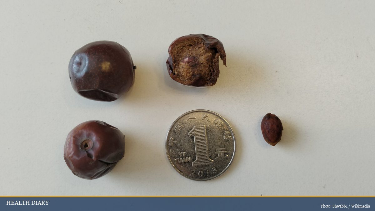 Dried sour jujube fruits and a tiny suanzaoren seed shown next to a Chinese coin for scale